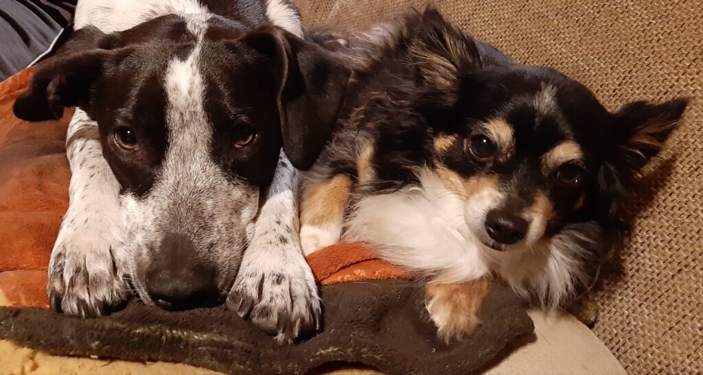 Hetty & Bruno